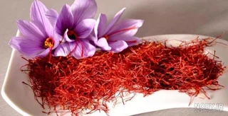 زعفران نگین صادراتی